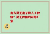 南方灵芝孢子粉人工种植？灵芝种植的可靠厂家