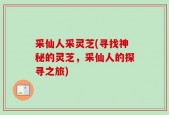 采仙人采灵芝(寻找神秘的灵芝，采仙人的探寻之旅)