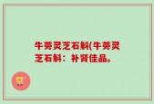 牛蒡灵芝石斛(牛蒡灵芝石斛：补肾佳品。