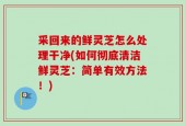 采回来的鲜灵芝怎么处理干净(如何彻底清洁鲜灵芝：简单有效方法！)