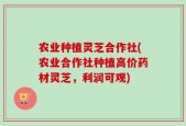 农业种植灵芝合作社(农业合作社种植高价药材灵芝，利润可观)