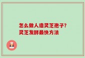 怎么做人造灵芝孢子？灵芝发酵最快方法
