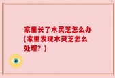家里长了木灵芝怎么办(家里发现木灵芝怎么处理？)