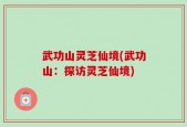 武功山灵芝仙境(武功山：探访灵芝仙境)