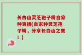 长白山灵芝孢子粉自家种直播(自家种灵芝孢子粉，分享长白山之美！)