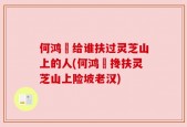 何鸿燊给谁扶过灵芝山上的人(何鸿燊搀扶灵芝山上险坡老汉)