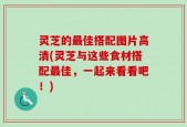 灵芝的最佳搭配图片高清(灵芝与这些食材搭配最佳，一起来看看吧！)