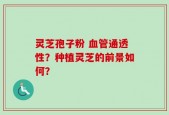 灵芝孢子粉 血管通透性？种植灵芝的前景如何？