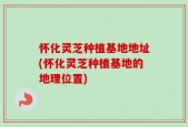 怀化灵芝种植基地地址(怀化灵芝种植基地的地理位置)