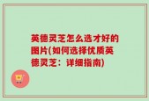 英德灵芝怎么选才好的图片(如何选择优质英德灵芝：详细指南)