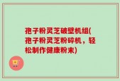 孢子粉灵芝破壁机组(孢子粉灵芝粉碎机，轻松制作健康粉末)