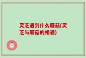 灵芝遇到什么蘑菇(灵芝与蘑菇的相遇)
