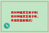 农村种植灵芝孢子粉(农村种植灵芝孢子粉，开启致富新模式)