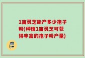 1亩灵芝能产多少孢子粉(种植1亩灵芝可获得丰富的孢子粉产量)
