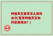 种植灵芝夏季怎么保存水分(夏季种植灵芝如何妥善保水？)