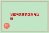 甘蓝与灵芝的区别与功效