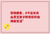告别疲惫，A兮谷长白山灵芝孢子粉带你开启焕新生活”