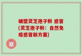 破壁灵芝孢子粉 感冒(灵芝孢子粉：自然免疫感冒新方案)
