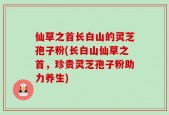 仙草之首长白山的灵芝孢子粉(长白山仙草之首，珍贵灵芝孢子粉助力养生)