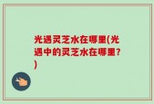 光遇灵芝水在哪里(光遇中的灵芝水在哪里？)