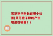灵芝孢子粉长在哪个位置(灵芝孢子粉的产生地是在哪里？)