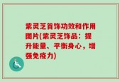 紫灵芝首饰功效和作用图片(紫灵芝饰品：提升能量、平衡身心，增强免疫力)