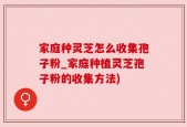 家庭种灵芝怎么收集孢子粉_家庭种植灵芝孢子粉的收集方法)
