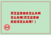 灵芝盆景掉皮怎么办啊怎么处理(灵芝盆景掉皮应该怎么处理？)
