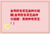 金秀野生灵芝品种介绍图(金秀野生灵芝品种介绍图：发现神奇灵芝！)