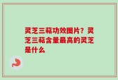 灵芝三萜功效图片？灵芝三萜含量最高的灵芝是什么