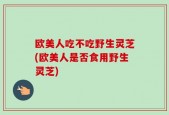 欧美人吃不吃野生灵芝(欧美人是否食用野生灵芝)