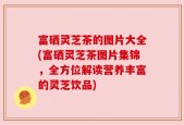 富硒灵芝茶的图片大全(富硒灵芝茶图片集锦，全方位解读营养丰富的灵芝饮品)