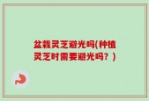 盆栽灵芝避光吗(种植灵芝时需要避光吗？)