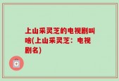 上山采灵芝的电视剧叫啥(上山采灵芝：电视剧名)