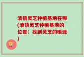 清镇灵芝种植基地在哪(清镇灵芝种植基地的位置：找到灵芝的根源)