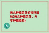 美女种植灵芝的视频播放(美女种植灵芝，分享种植经验)