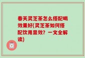 春天灵芝茶怎么搭配喝效果好(灵芝茶如何搭配饮用显效？一文全解读)