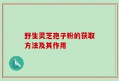 野生灵芝孢子粉的获取方法及其作用