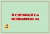 灵芝猪肚菌汤(灵芝与猪肚菌熬出的滋补汤)