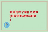 红灵芝吃了有什么功效(红灵芝的功效与好处)