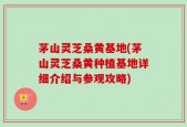 茅山灵芝桑黄基地(茅山灵芝桑黄种植基地详细介绍与参观攻略)
