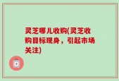 灵芝哪儿收购(灵芝收购目标现身，引起市场关注)