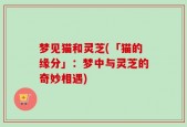 梦见猫和灵芝(「猫的缘分」：梦中与灵芝的奇妙相遇)