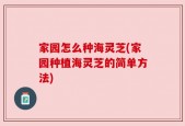 家园怎么种海灵芝(家园种植海灵芝的简单方法)