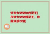 梦到太奶奶给我灵芝(夜梦太奶奶赠灵芝，惊醒深感珍惜)
