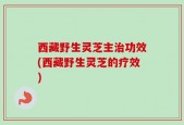 西藏野生灵芝主治功效(西藏野生灵芝的疗效)