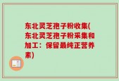 东北灵芝孢子粉收集(东北灵芝孢子粉采集和加工：保留最纯正营养素)