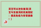 灵芝可以泡生普洱(灵芝与生普洱的完美搭配：提高免疫力享受健康！)