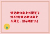 梦见老公身上长灵芝了好不好(梦见老公身上长灵芝，预示着什么)