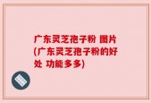 广东灵芝孢子粉 图片(广东灵芝孢子粉的好处 功能多多)